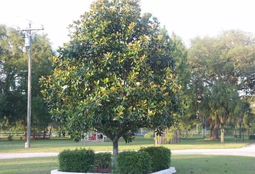 モーテル Deerwood Inn And Madison Campground