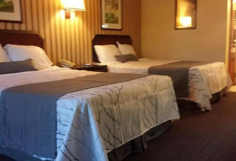 モーテル Deerwood Inn And Madison Campground