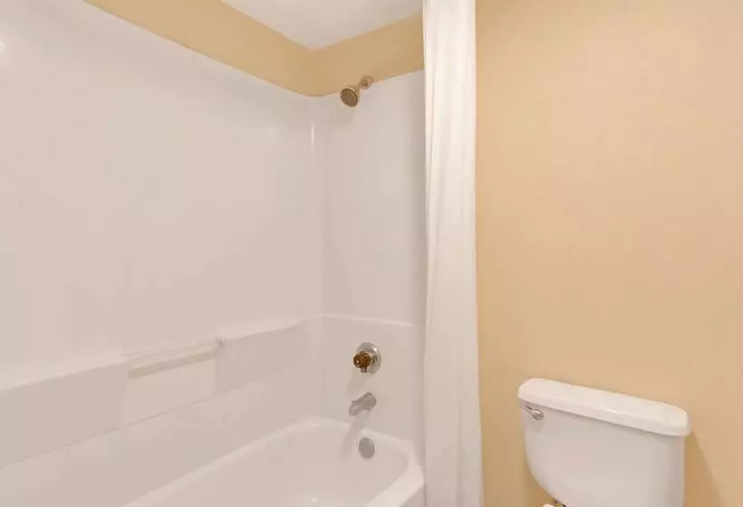 モーテル Super 8 By Wyndham Tucson Downtown Convention Center