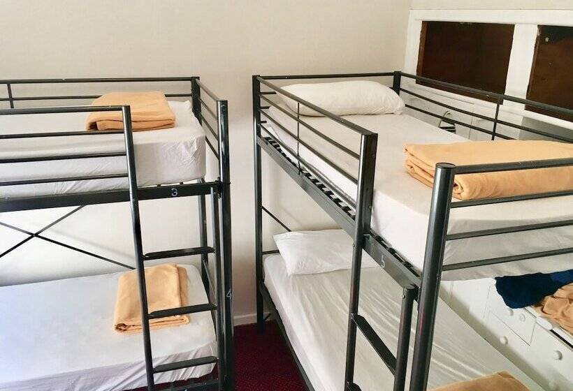 Bed and Breakfast Freemans Backpackers Lodge Hostel