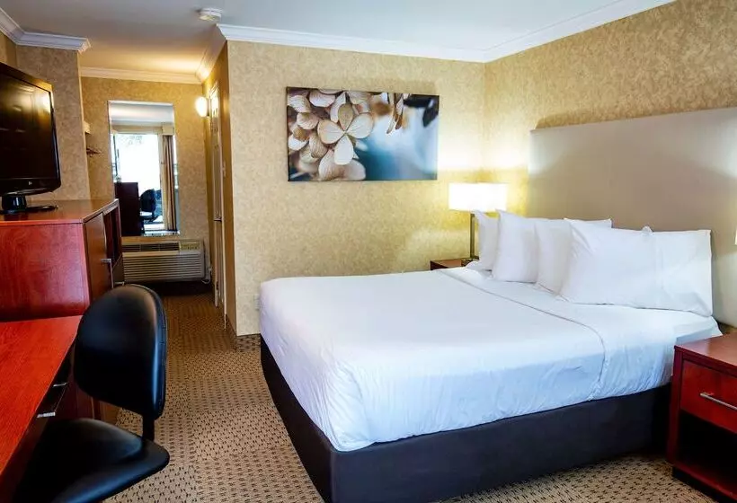 בית מלון כפרי Best Western Voyageur Place