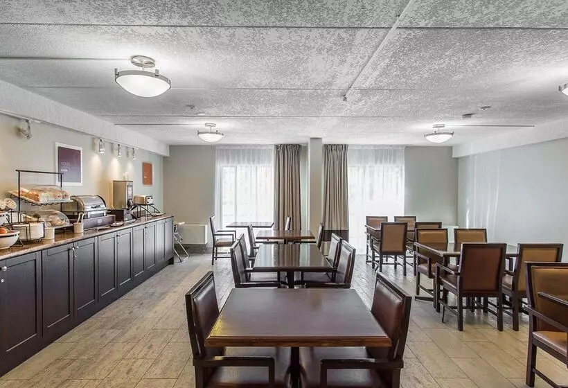 酒店 Comfort Inn Midland