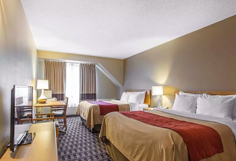 酒店 Comfort Inn Midland