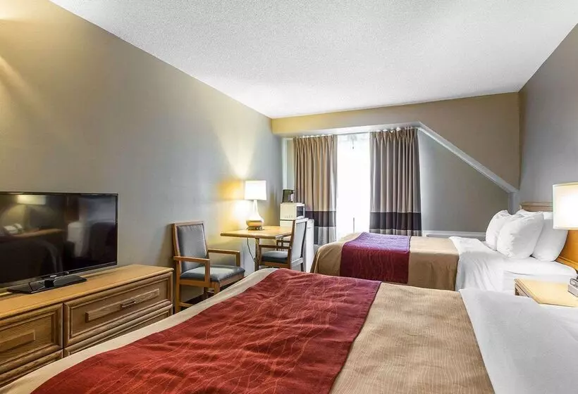 酒店 Comfort Inn Midland