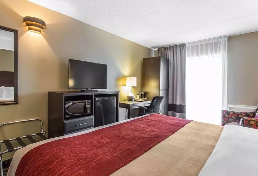 酒店 Comfort Inn Midland