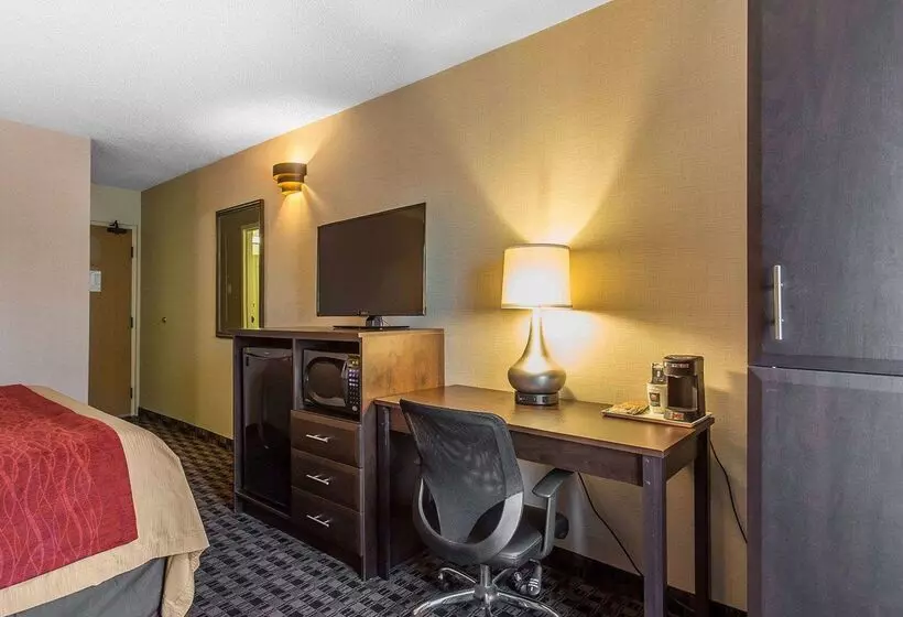 酒店 Comfort Inn Midland