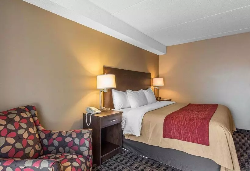 酒店 Comfort Inn Midland