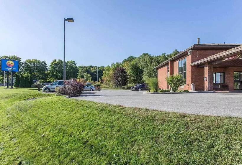 酒店 Comfort Inn Midland