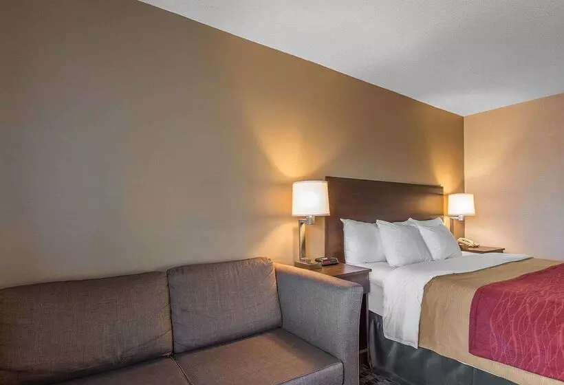 酒店 Comfort Inn Midland