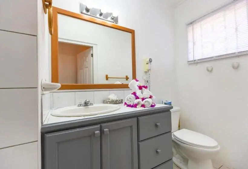 هتل Lance Aux Epines Cottages