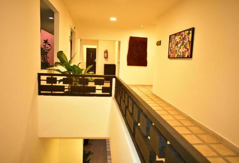 فندق Maya Tulipanes