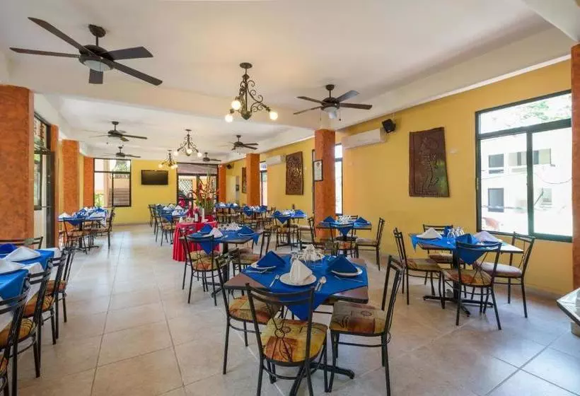 酒店 Maya Tulipanes