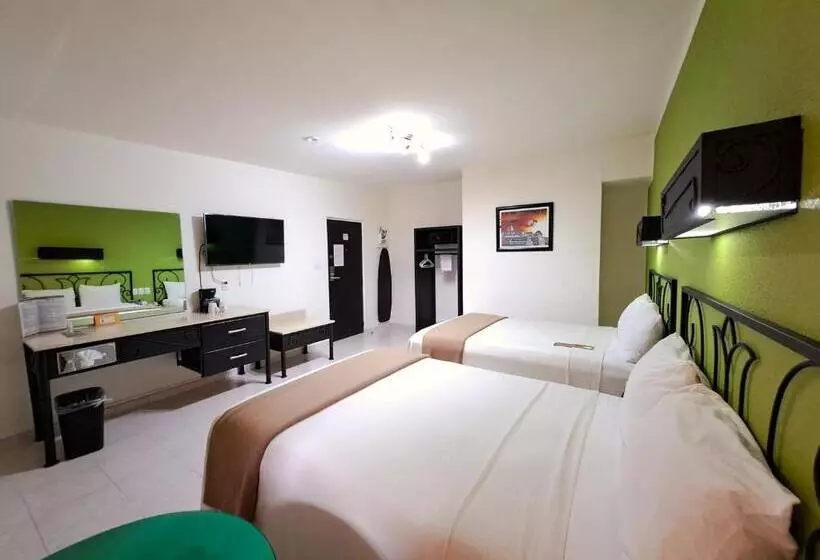 酒店 Maya Tulipanes