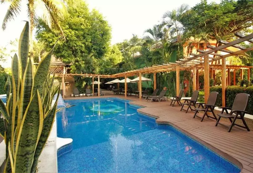 酒店 Maya Tulipanes