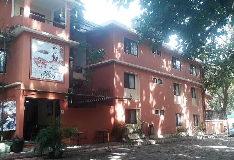 فندق Maya Tulipanes