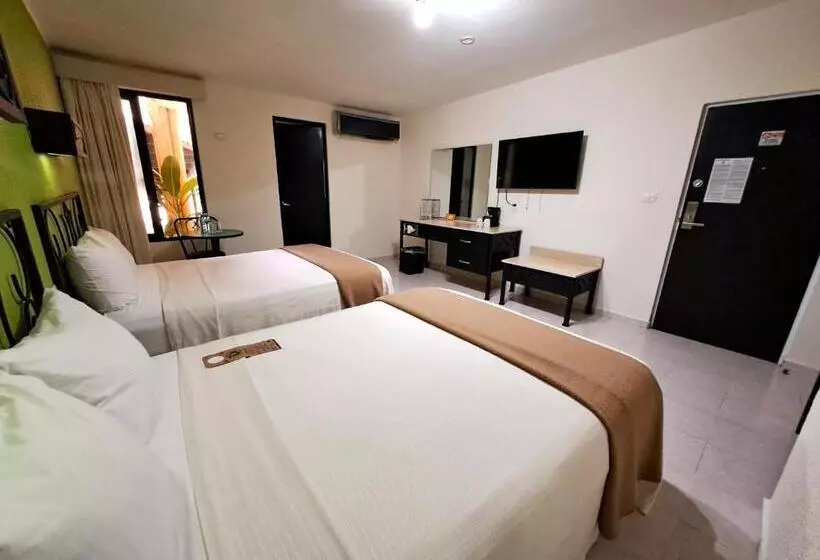 酒店 Maya Tulipanes