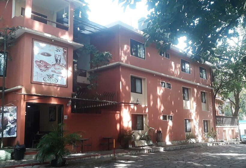 فندق Maya Tulipanes