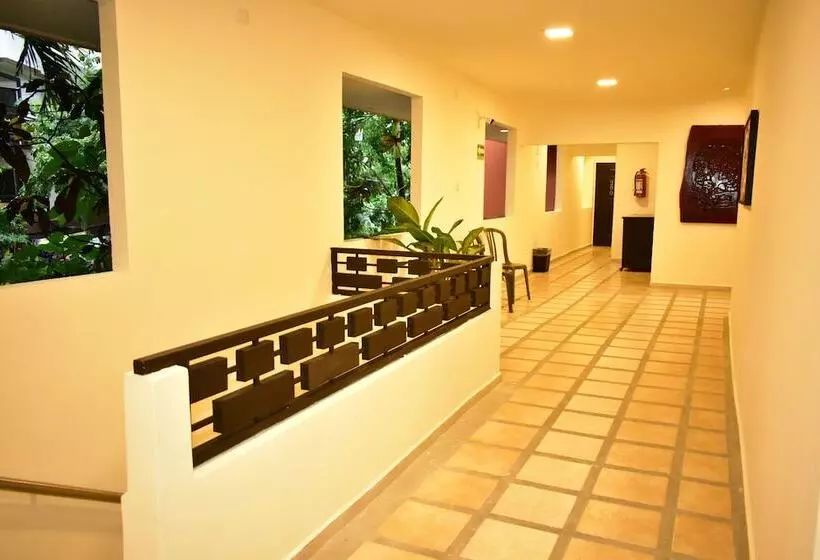 酒店 Maya Tulipanes