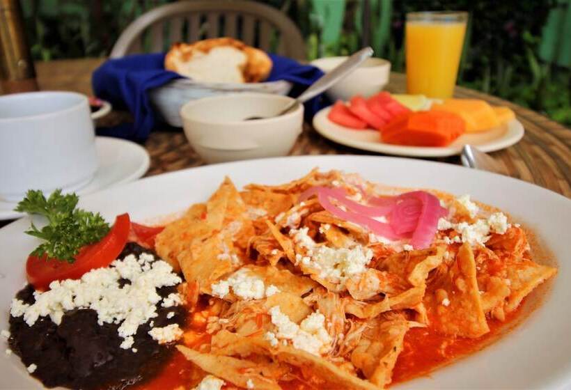 فندق Maya Tulipanes