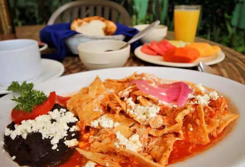 酒店 Maya Tulipanes