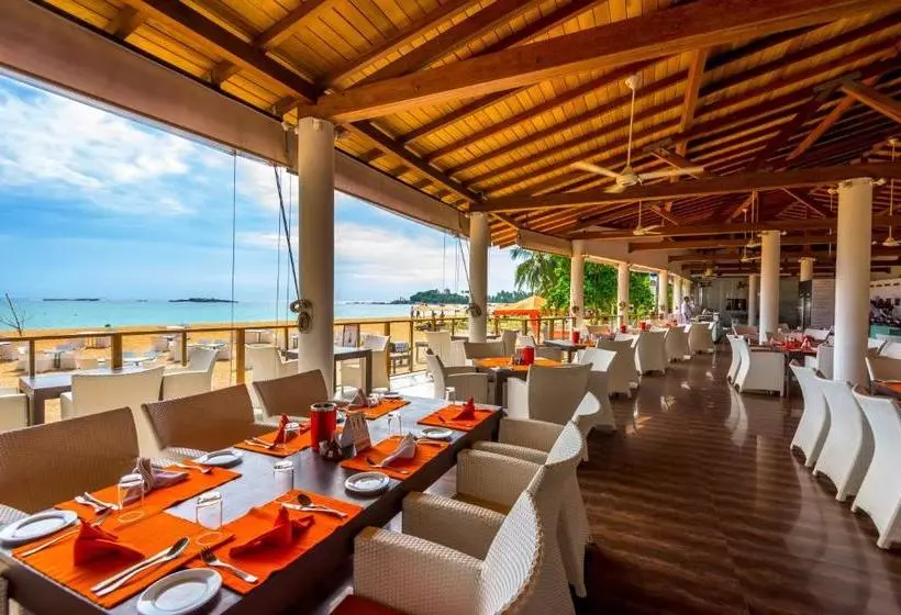 리조트 Calamander Unawatuna Beach