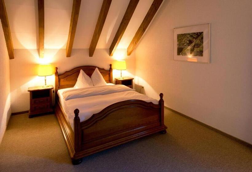 Romantik Hotel Zu Den Drei Sternen