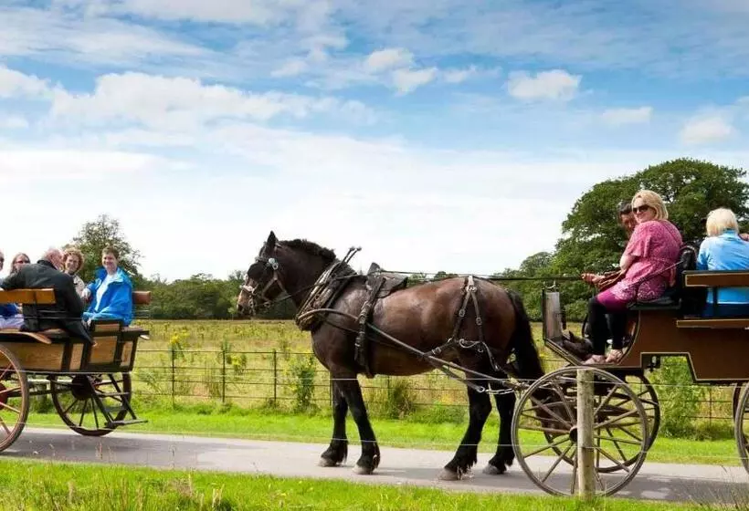 Muckross Park Hotel & Spa