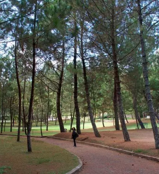 호텔 Puteri Gunung