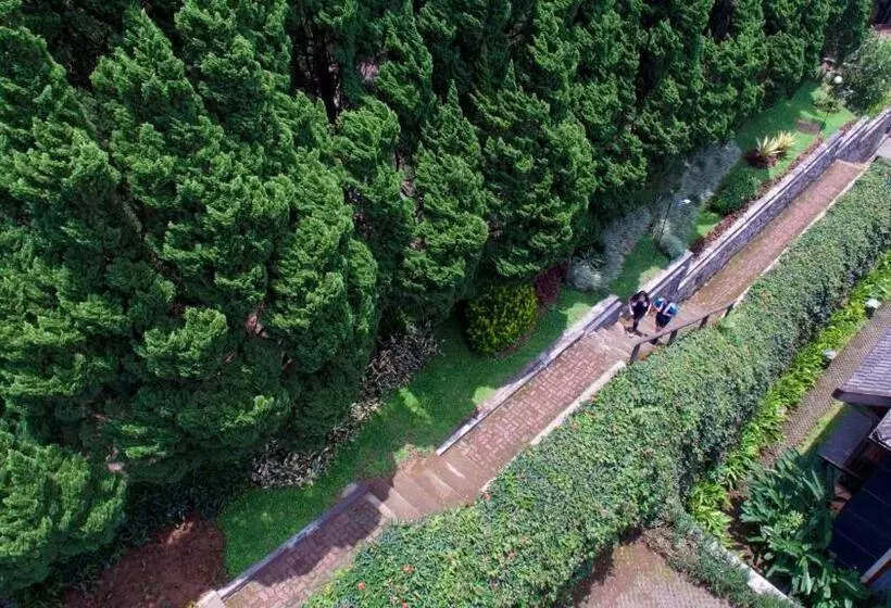 호텔 Puteri Gunung