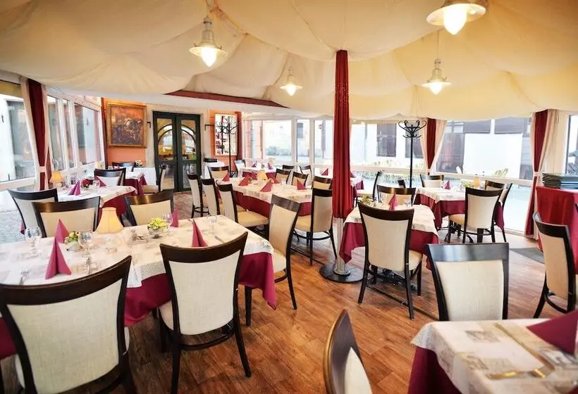 ホテル Senator Ház