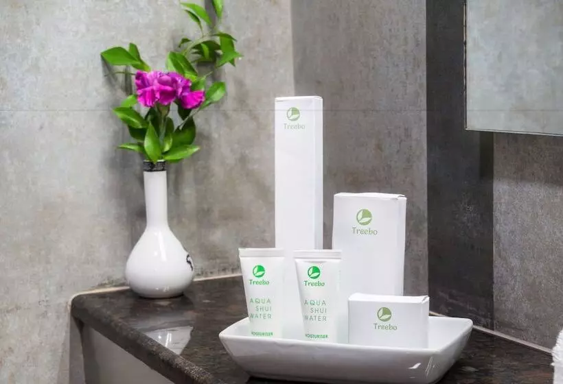 호텔 Treebo Ambassador