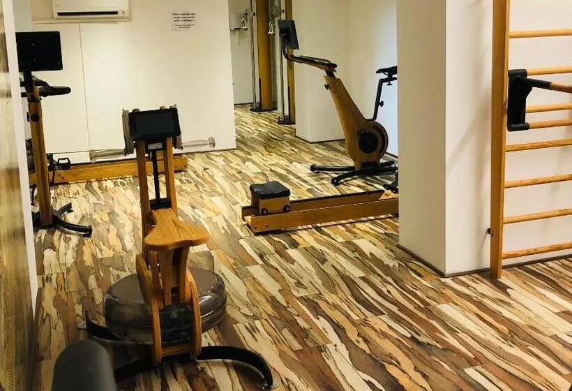 Отель Holzer Ii