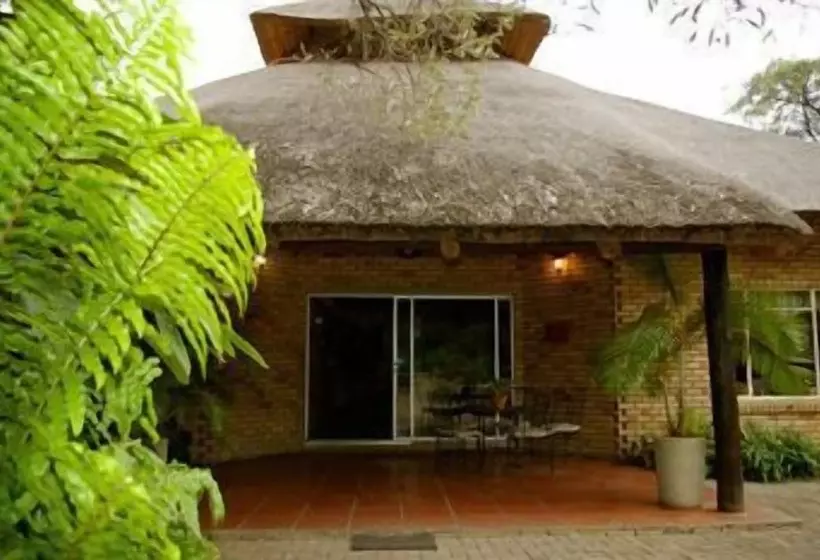 酒店 Matumi Game Lodge