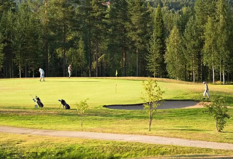 Original Sokos Hotel Vaakuna Rovaniemi