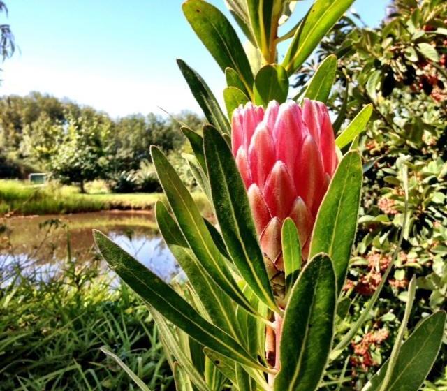 酒店 Sleeping Beauty Guesthouse