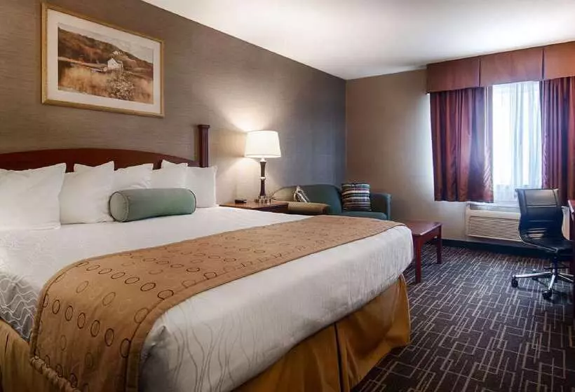 酒店 Best Western Airport Inn