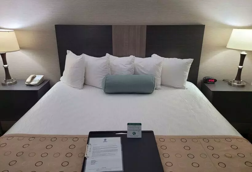 酒店 Best Western Airport Inn