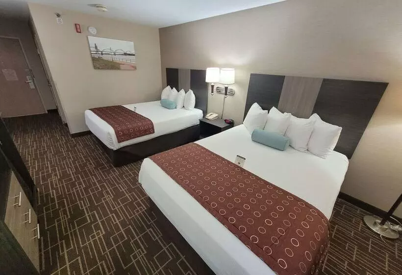 酒店 Best Western Airport Inn