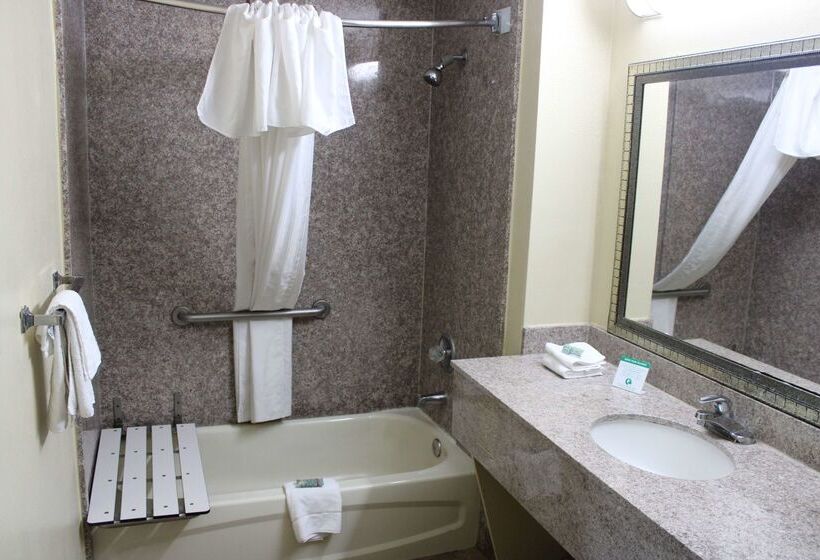 酒店 Best Western Gastonia