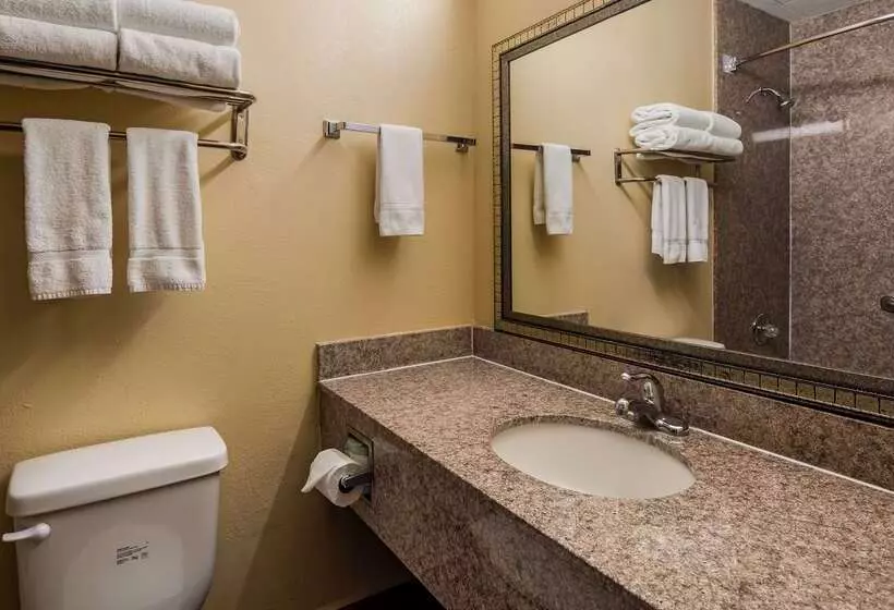 호텔 Best Western Gastonia