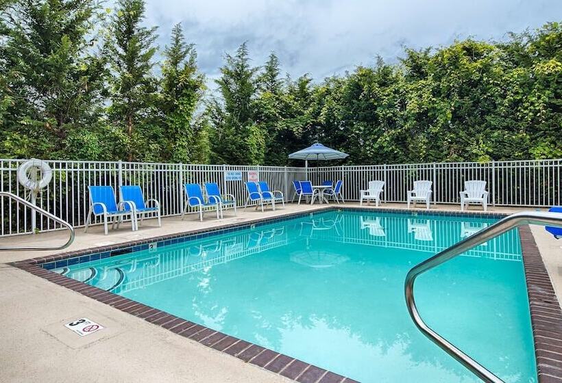 酒店 Best Western Gastonia