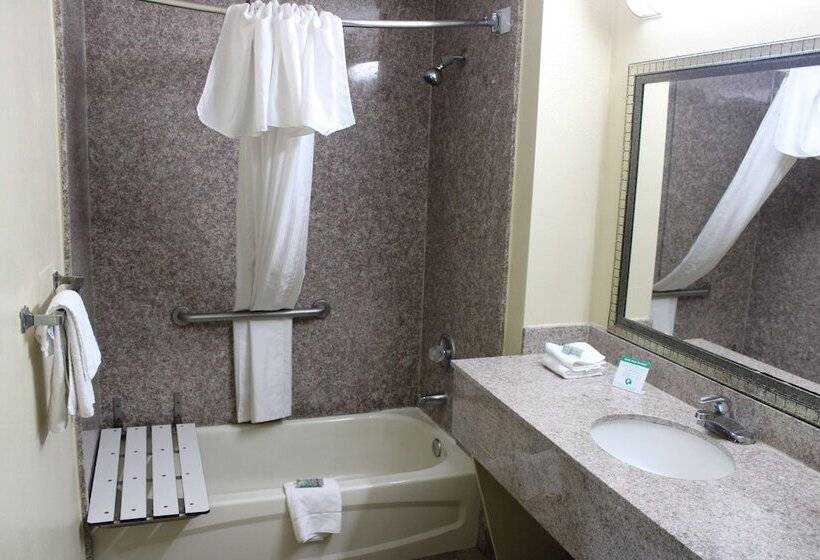 酒店 Best Western Gastonia