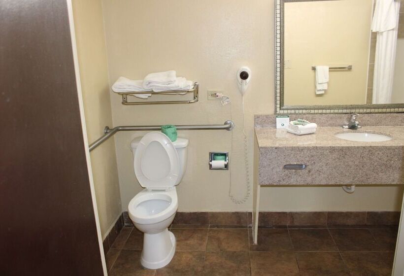 酒店 Best Western Gastonia