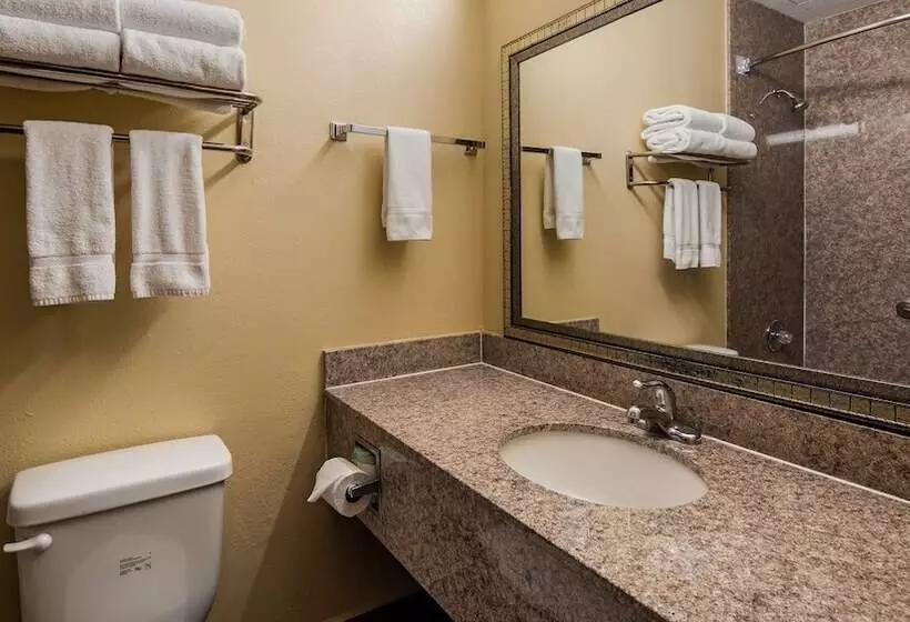 호텔 Best Western Gastonia