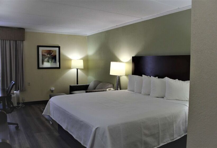 酒店 Best Western Gastonia