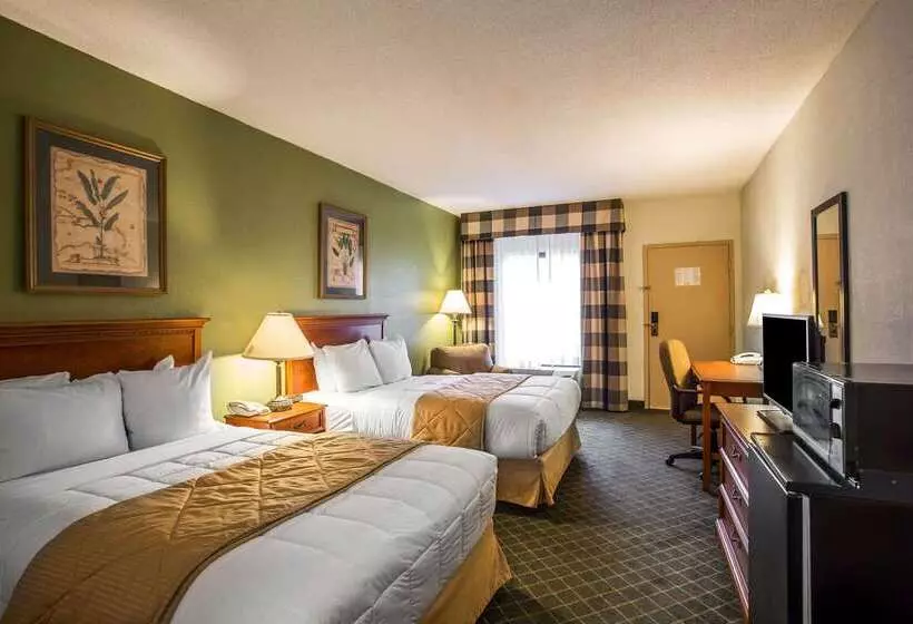 Отель Clarion Inn & Suites Aiken South