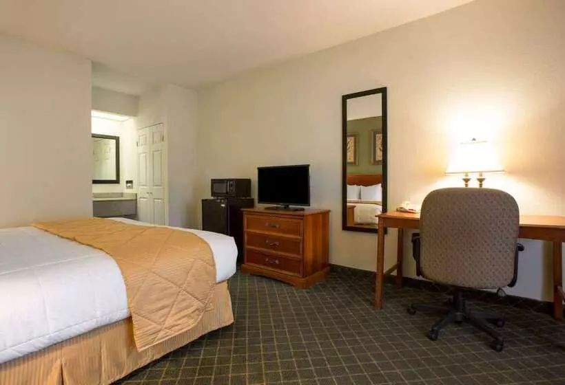 Отель Clarion Inn & Suites Aiken South