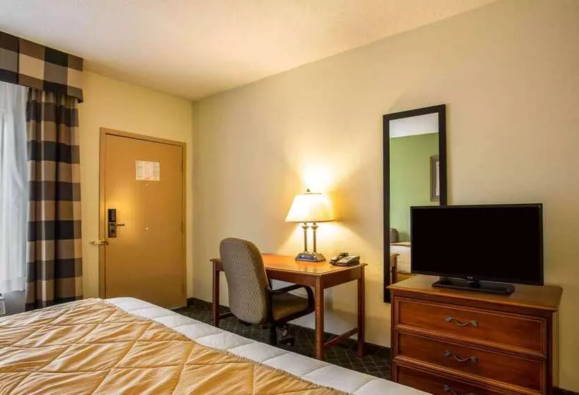 Отель Clarion Inn & Suites Aiken South