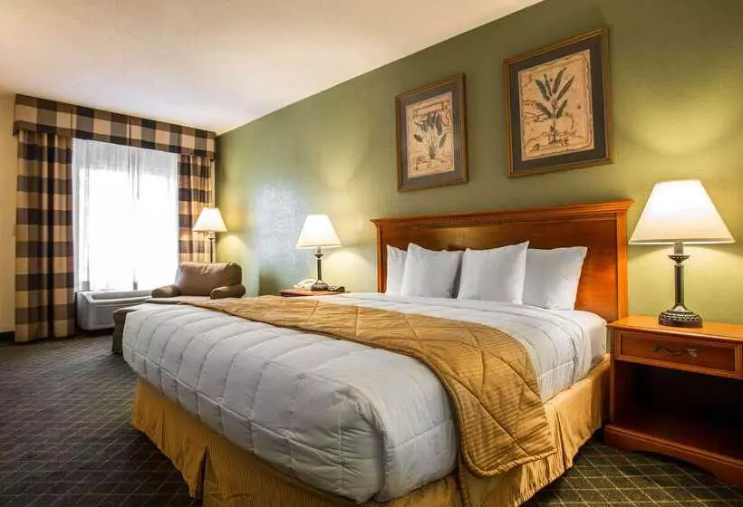 Отель Clarion Inn & Suites Aiken South