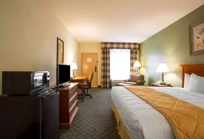 Отель Clarion Inn & Suites Aiken South